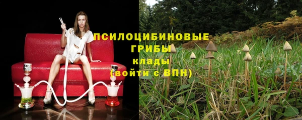 a pvp Абдулино