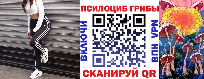 Псилоцибиновые грибы ЛСД Котово